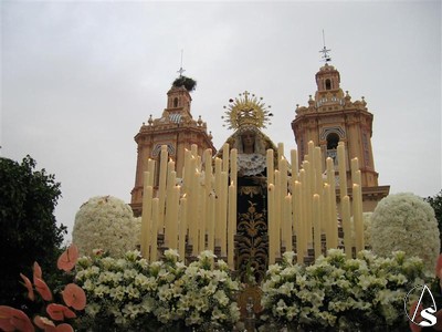 En la actualidad, esta filial de la Vera Cruz procesiona el Domingo de Ramos desde la Ermita de Nuestra Señora de la Soledad 