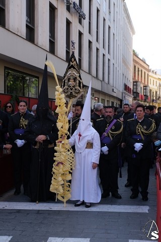 domingo borriquita