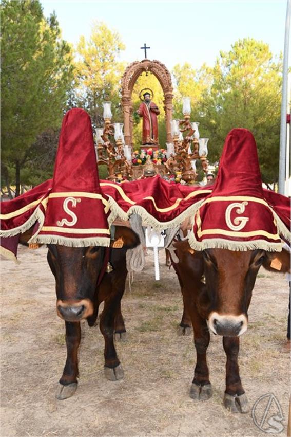 Romeria_San_Gines._2024._Gines__96___Copiar_.JPG