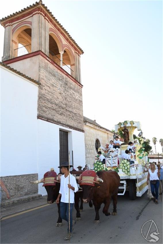 Romeria_San_Gines._2024._Villanueva_del_Ariscal__18___Copiar_.JPG