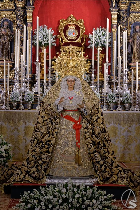 fjmontiel_BM_Caridad_Baratillo_2023_DSC_4523_DxO