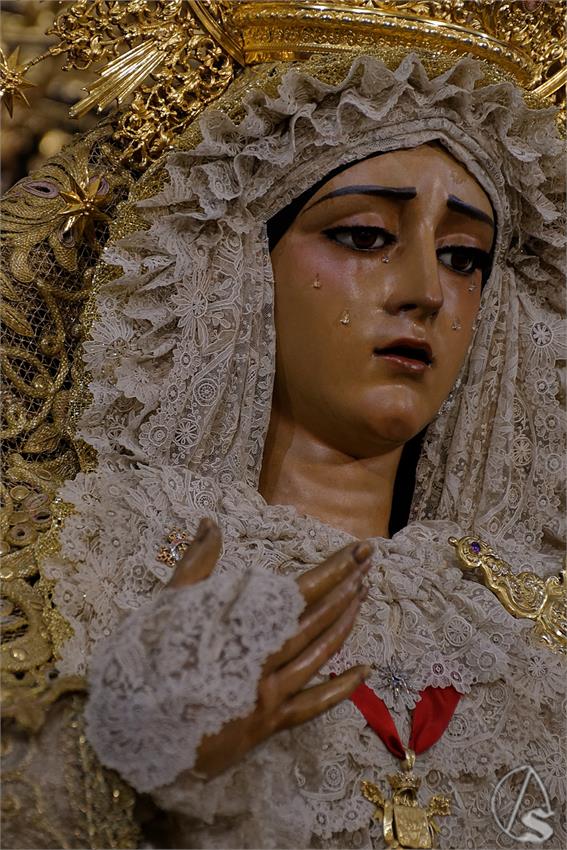 fjmontiel_BM_Caridad_Baratillo_2023_DSC_4541_DxO