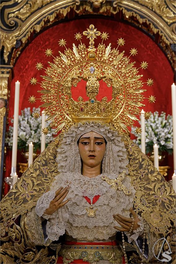 fjmontiel_BM_Caridad_Baratillo_2023_DSC_4560_DxO