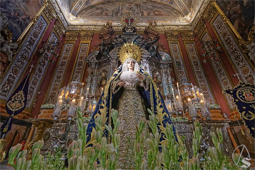 fjmontiel_BM_NS_Merced_Pasion_2024_DSC_0536_DxO