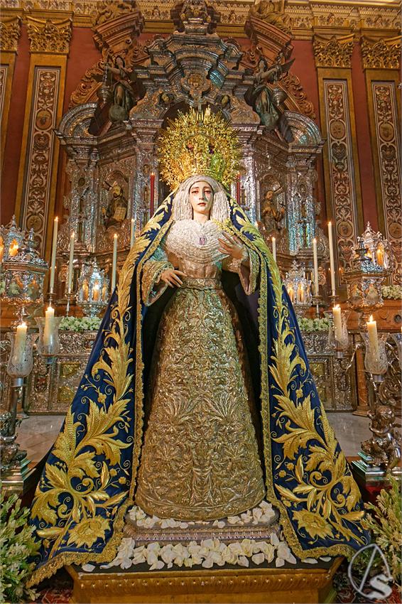 fjmontiel_BM_NS_Merced_Pasion_2024_DSC_0537_DxO