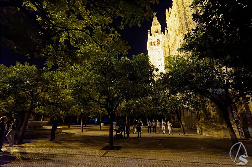 fjmontiel_De_Profundis_Los_sepulcros_de_los_Arzobispos_de_la_Catedral_2024_DSC_9654_DxO