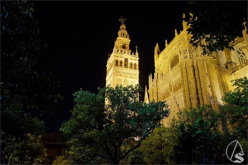 fjmontiel_De_Profundis_Los_sepulcros_de_los_Arzobispos_de_la_Catedral_2024_DSC_9681_DxO