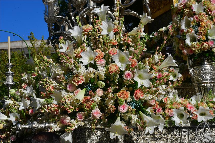 fjmontiel_PR_Sagrado_Corazon_Maria_La_Mision_2024_DSC_2354.JPG